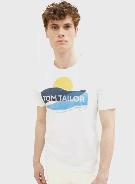 تیشرت مردانه تام تیلور سفید مدل 3166