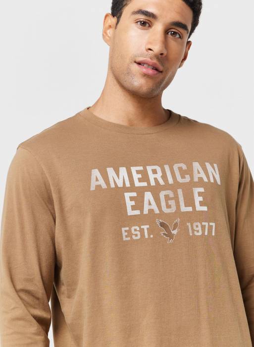 تیشرت مردانه قهوه ای برند american eagle مدل 5881