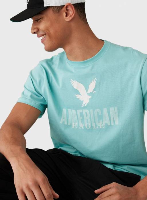 تیشرت مردانه آبی سبز برند american eagle مدل 9757