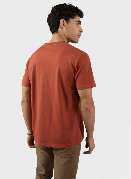 تیشرت مردانه نارنجی برند american eagle مدل 0128