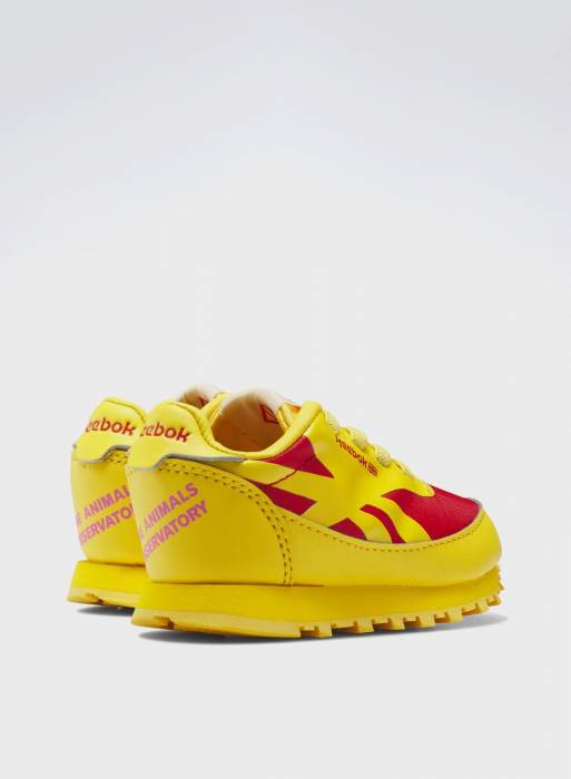 کفش اسپرت بچه گانه پسرانه ریباک زرد مدل 5730